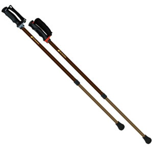 SINANO(Vim)񂵂2{EH[LO |[ ̑|[(650192)