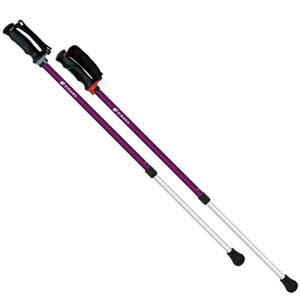 SINANO(Vim)񂵂2{EH[LO |[ ̑|[(650194)