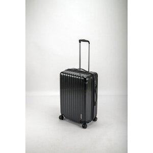 CAPTAIN STAG(LveX^bO)peB[ X[cP[XiTSAbNtWF^CvjMiubLv gbLO obO P[X(UV65)