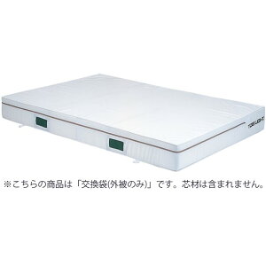 (��������E�l��E�k�C���E���ꌧ�ւ̔z���s��)�g�[�G�C���C�g TOEI LIGHT2X3X0.2�J�o�[�w�Z�@��(g2011a)