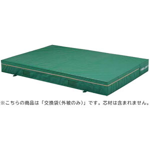 (��������E�l��E�k�C���E���ꌧ�ւ̔z���s��)�g�[�G�C���C�g TOEI LIGHT200X300X40CM�J�o�[�w�Z�@��(g1542a)