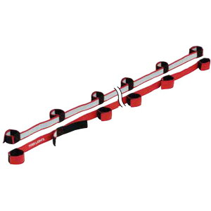 (ElEkCEꌧւ̔zs)g[GCCg TOEI LIGHTJf[vDX10wZ@ ^pi(b3793r)