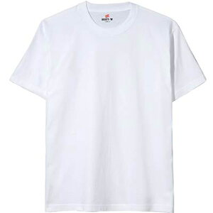 wCY hanesBEEFY T-SHIRT 2PCASUAL WEAR EFA(YEj)(h51802-010)