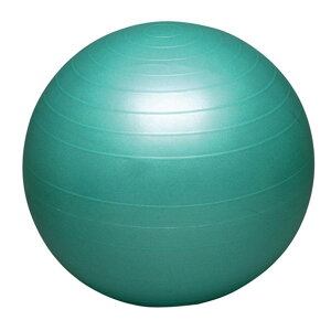 n^ HATASoX{[ZCteB[ 65cmX|[c LO(DB65)