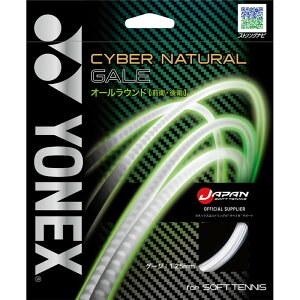 yonex(���l�b�N�X)�T�C�o�[�i�`�������Q�C���e�j�X�\�t�g �K�b�g(csg650ga-013)