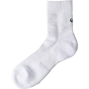 t@Ce(phiten)X|[c\bNX Z~OWHT 22-24{fBPA\bNX(al943270)