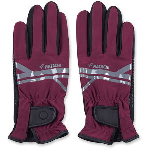 hatachi(n^`)EgXgb`O[uGSteuN(bh8029-66)