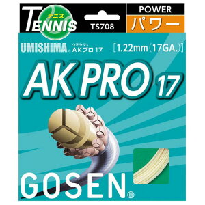 �S�[�Z�� GOSEN�E�~�V�} AK �v�� 17�e�j�X�d�� �K�b�g(TS708NA)