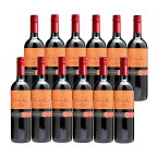【12本 まとめ買い】 プエンテ・ネグロ 赤 チリ産の辛口赤ワイン 送料無料 一部除外 チリワイン チリ 辛口 赤 ワイン