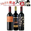 【最大1500CP 楽天スーパーSALE】ワインソムリエおすすめ スパイシー 赤ワイン バラエティ3本セット 送料無料 一部除外 スペイン チリ 辛口 ソムリエ厳選 ソムリエセット