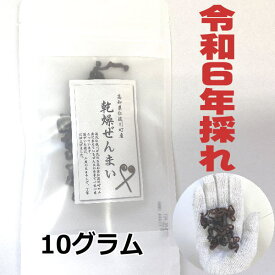 【送料無料】　高知県仁淀川町産　天然　乾燥ぜんまい 10g 2024年採れ　ぜんまい　山菜　国産　通販　ビバ！ぜんまい