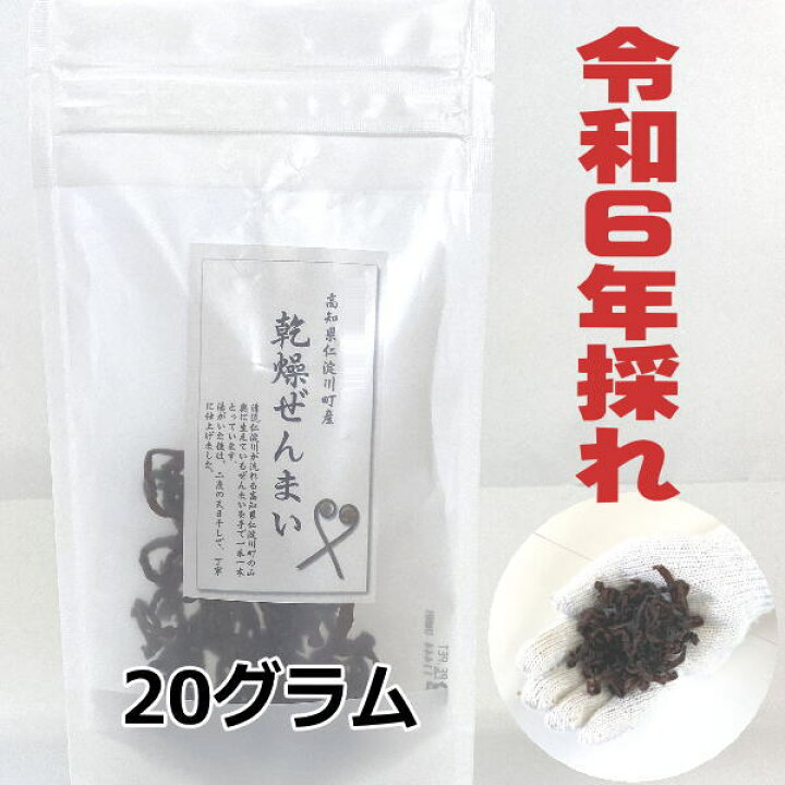 楽天市場】【送料無料】 高知県仁淀川町産 天然 乾燥ぜんまい 20g 2024 