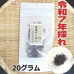 yz@mm쒬Y@VR@܂ 20g@2025N̂@܂@R؁@Y@ʔ́@roI܂