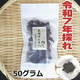 【送料無料】　高知県仁淀川町産　天然　乾燥ぜんまい 50g　2025年採れ　ぜんまい　山菜　国産　通販　ビバ！ぜんまい