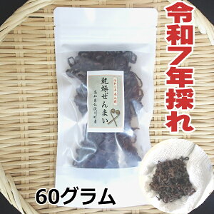 yz@mm쒬Y@VR@܂ 60g@2025N̂@܂@R؁@Y@ʔ́@roI܂