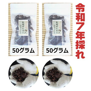 yzmm쒬Y@VR@܂ 100g@2025N̂@܂@R؁@Y@ʔ́@roI܂