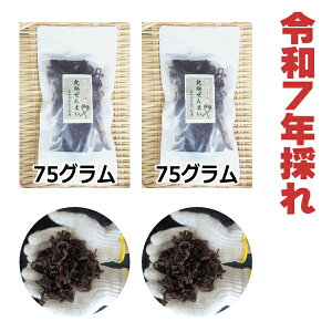 yz@mm쒬Y@VR@܂ 150g@2025N̂@܂@R؁@Y@ʔ́@roI܂