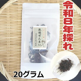 【送料無料】　高知県仁淀川町産　天然　乾燥ぜんまい 20g　2026年採れ　ぜんまい　山菜　国産　通販　ビバ！ぜんまい