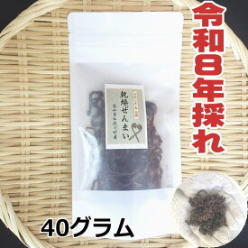 【送料無料】　高知県仁淀川町産　天然　乾燥ぜんまい 40g　2026年採れ　ぜんまい　山菜　国産　通販　ビバ！ぜんまい