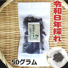 【送料無料】　高知県仁淀川町産　天然　乾燥ぜんまい 50g　2026年採れ　ぜんまい　山菜　国産　通販　ビバ！ぜんまい