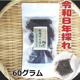 【送料無料】　高知県仁淀川町産　天然　乾燥ぜんまい 60g　2026年採れ　ぜんまい　山菜　国産　通販　ビバ！ぜんまい