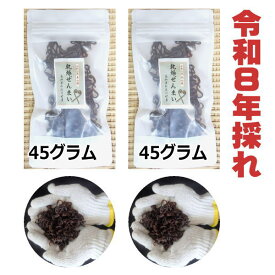 【送料無料】　高知県仁淀川町産　天然　乾燥ぜんまい 90g　2026年採れ　ぜんまい　山菜　国産　通販　ビバ！ぜんまい