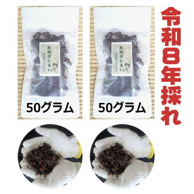 【送料無料】高知県仁淀川町産　天然　乾燥ぜんまい 100g　2026年採れ　ぜんまい　山菜　国産　通販　ビバ！ぜんまい