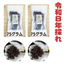 【送料無料】　高知県仁淀川町産　天然　乾燥ぜんまい 150g　2026年採れ　ぜんまい　山菜　国産　通販　ビバ！ぜんまい