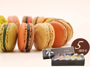 NX}X NX}XP[L 蕨 y }J 5 Zbgz yY Mtg 蕨 v[g XC[c َq ACXP[L `R[g a P[L v[g 蕨 j P[