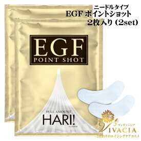 ＼6月5日限定！【5％オフ】クーポン配布中！全品P5倍！／ ニードルタイプ 美容液 EGFポイントショット2枚入り2セット エイジングケア リンクルケア EGF ハリ型美容液 マイクロニードル 目元たるみ ほうれい線 アイパッチ ハリ 保湿ケア アイパッチ クマ