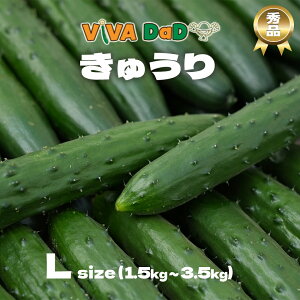 y40OFFI10{ zhV̓ イ  LE  LTCY {茧Y ʂЂ イ Е ÒЂ XЂ Ђ |̕ T_ ٓ M  xr[ xr[t[