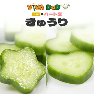 y40OFFIz NX}X  イ  LE  ^ ی^ ^ n[g^ イ _ƒ Ԃ xr[ H sNX    T_ ٓ q HׂTCY 