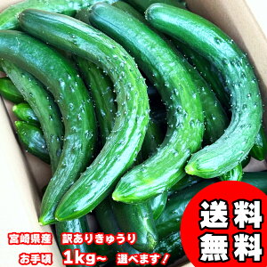 y40OFFI10{z イ  LE  KiO 󂠂 Е Ђ ʂЂ イ ÒЂ XЂ |̕ T_ xr[ xr[t[h 킯 A {茧