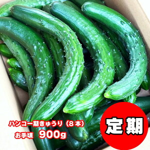 yYn 󂠂肫イz 900g 8{  イ  LE  KiO 󂠂 Е Ђ ʂЂ イ ÒЂ XЂ |̕ T_ xr[ xr[t[h 킯 