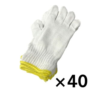 WIZA EBU {R2D5{҂10og 40Zbg