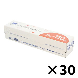 EBU WIZ'A ҂\tHibv22cm×110m 30Zbg roz[@rbv@Ղg110m@HXƎҗlɂ߁@Ɩp