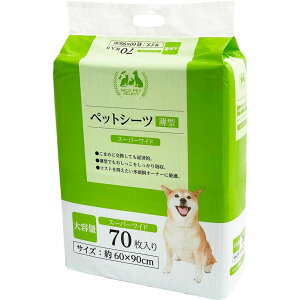 NICOeʃybgV[c^@X[p[Ch