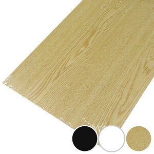 カラー棚板 約600x300x16mm