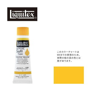 LebNX \tg6(20ml)`[u 051 LebNX CG[ G-2 ANG Liquitex