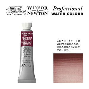 W&N PWC 5ml `[u 125 Lvg[^oCIbg Winsor&Newton vtFbViEEH[^[J[ ō