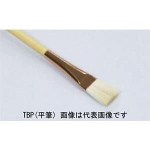听 TBP(M)3 (81301032) fUCE{M