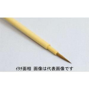 听 C^`ʑ (81353003) {EfUCM