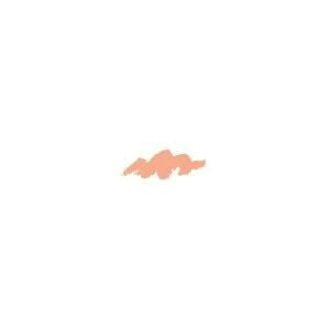 TtH[h JX}J[ FM PC1001 Salmon Pink T[sN (SANFORD KARISMA COLOR)