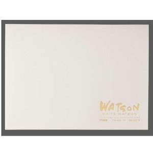 ~[Y zCgg\ubN HW-301  300g [SM ]i15j