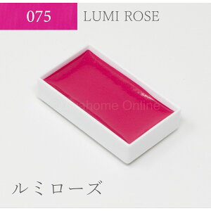 g ʒPF(75)~[Y KS10075