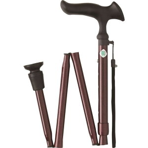 フジホーム かるがもE折畳 レッド