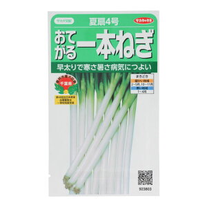 �T�J�^�@���Ă����{�˂��@�Đ�4��