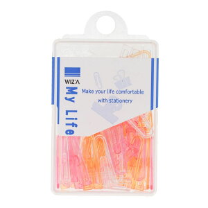 ECU WIZ'A[Nbvv 50{ t[c