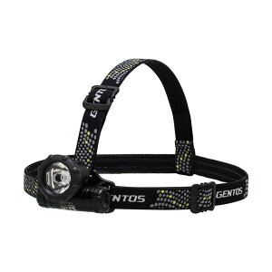 GENTOS@GTRCg@GTR[S31D