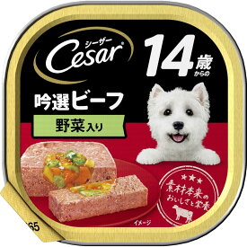 シーザー　14歳からの吟選ビーフ野菜入り　100g